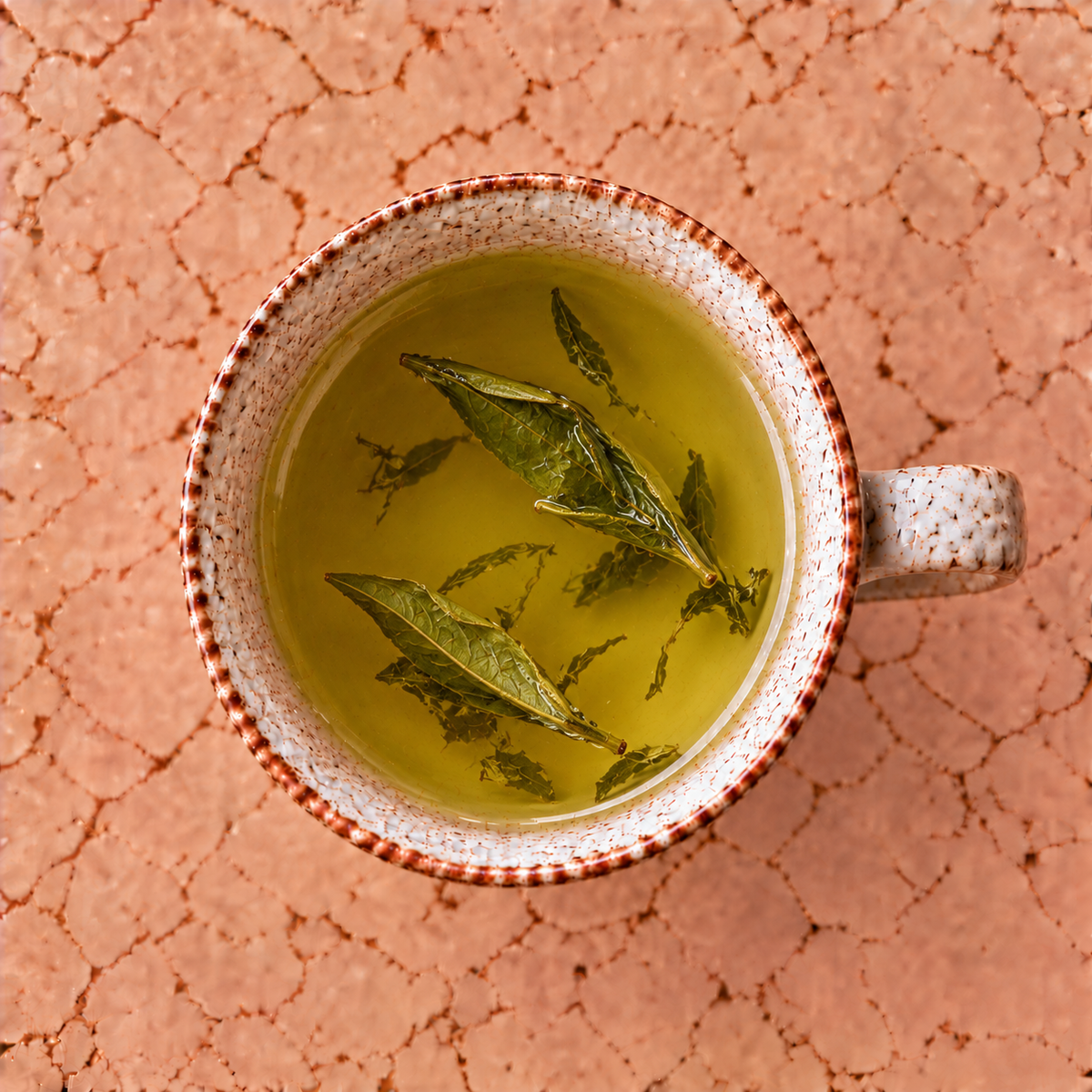 TÈ VERDE BIO – 20 BUSTINE